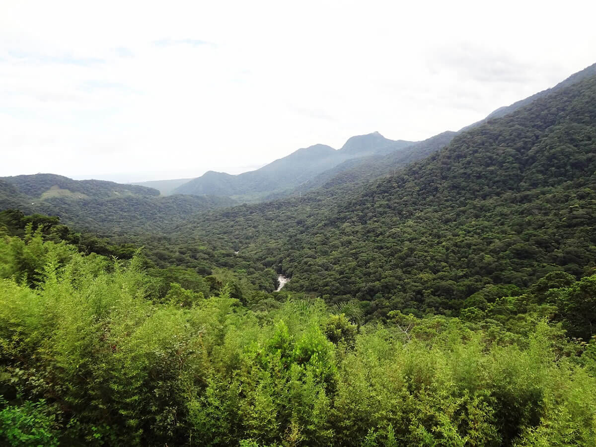 Preservation of Biodiversity: Discovery Coast Atlantic Forest Reserves